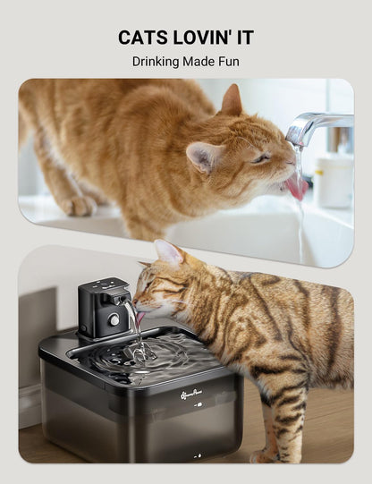 Downypaws Cat Water Fountain Cordless, Pet Fountain, 84Oz/2.5L, Black | Wireless Cat Drinking Water Fountains for Cats Indoor, Fursink , Battery Operated, Motion Sensor, Ultra Quiet Pump, Bpa-Free5
