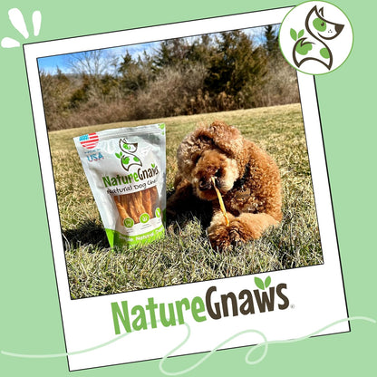 Nature Gnaws USA Turkey Tendons for Dogs (4Oz) - Delicious Grain Free Reward Snack for Small, Medium & Large Breeds - Premium Natural Dog Chew Treats7