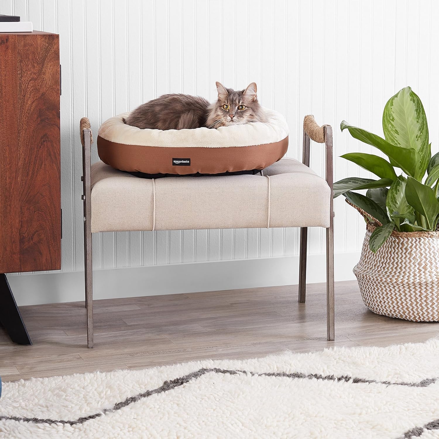 amazon-basics-round-bolster-pet-bed-for-dog-or-cat-with-flannel-top-20-0-l-x-20-0-w-x-6-0-th-up-to-11lbs-brown-and-ivory
