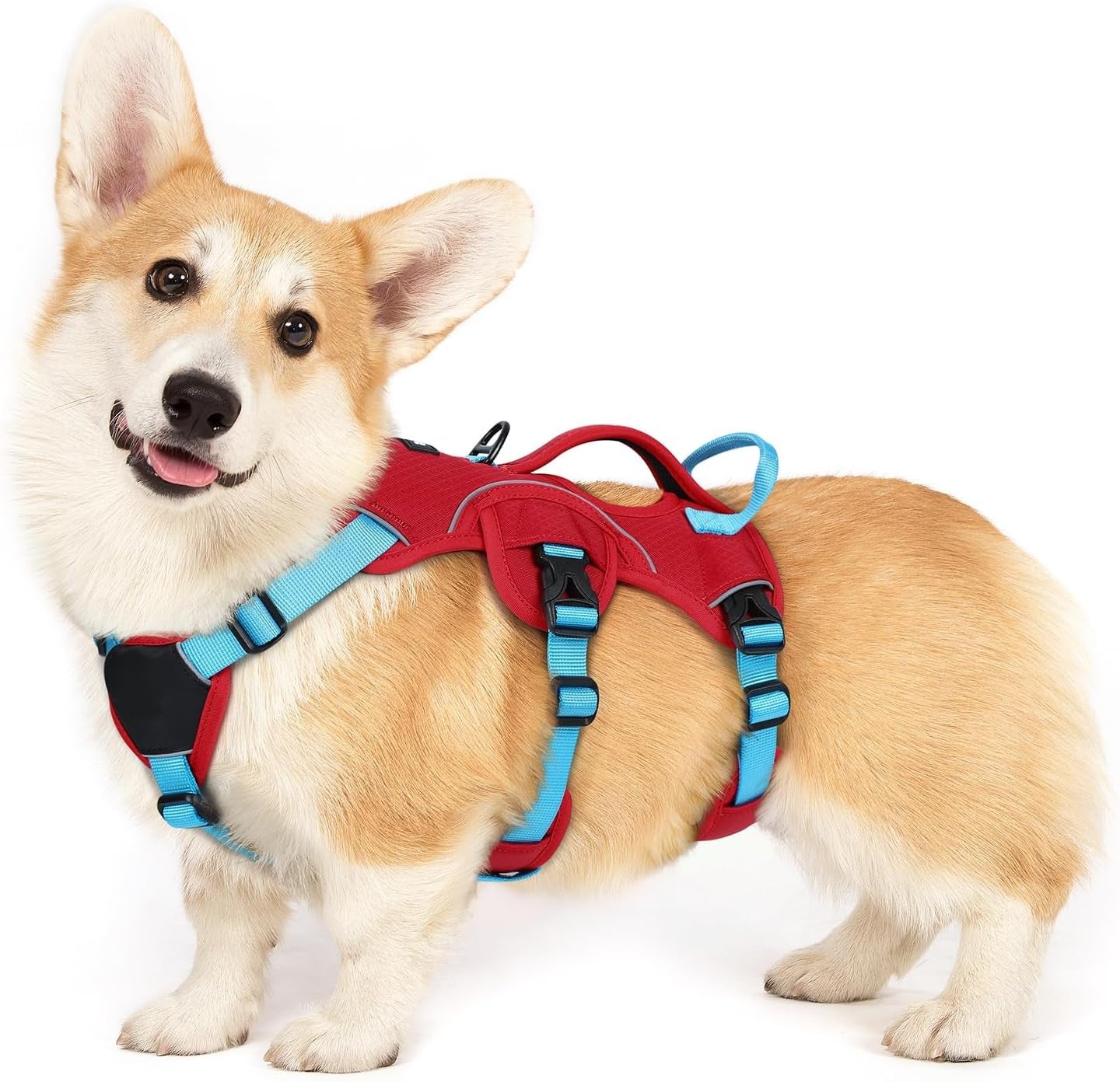 rabbitgoo-escape-proof-dog-harness-for-large-no-pull-with-lift-handle-no-escape-full-soft-padded-reflective-adjustable-vest-leash-clip-for-walking-hiking-training-black-large