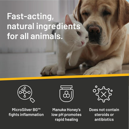 Silver Honey Hot Spot & Wound Care Pet First Aid Ointment, 2 Oz Tube | Manuka Honey, Microsilver BG, Dog, Cat, Small Animal, Fast-Acting Results, at Home Treatment, Thick, Creamy, Antibiotic-Free5