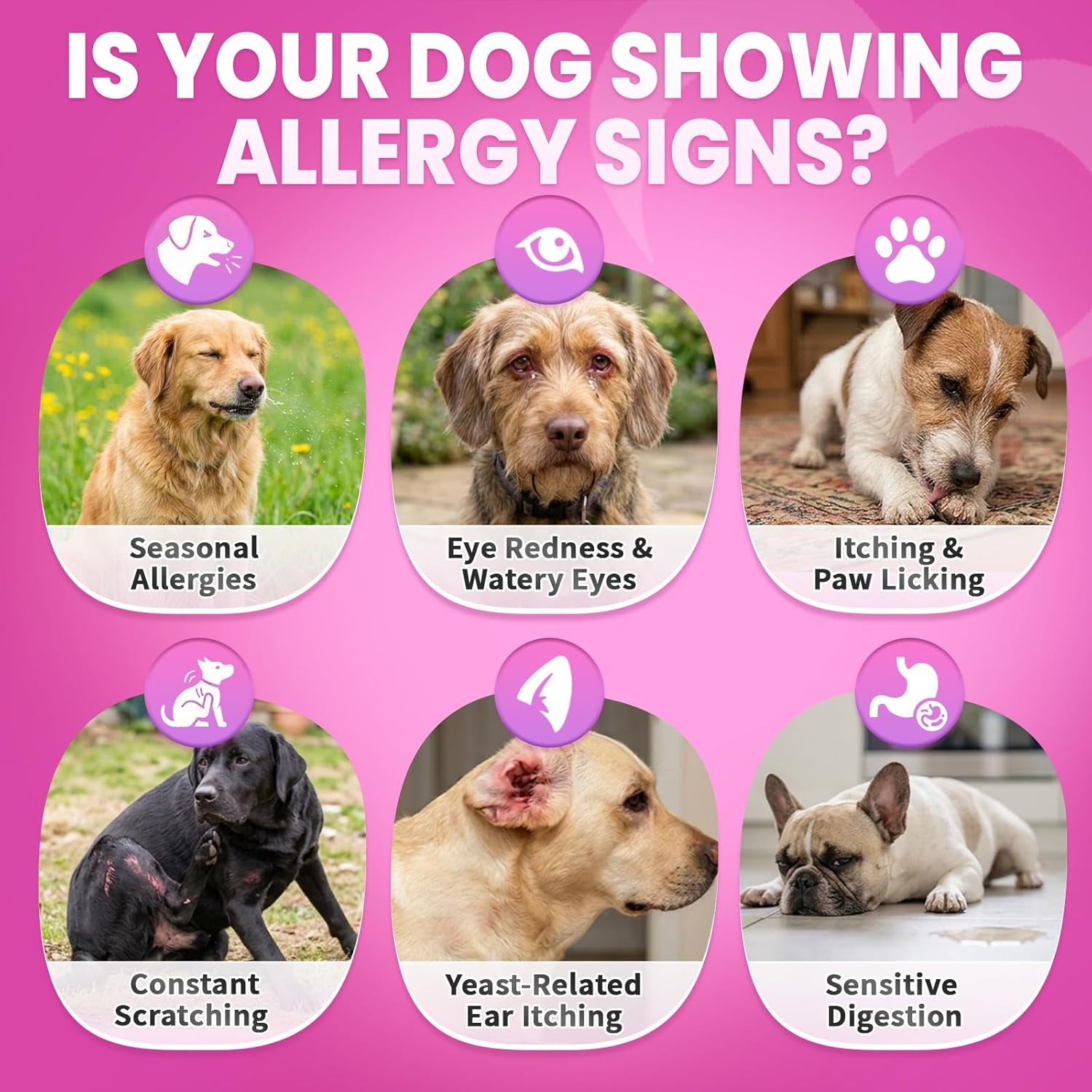 dog-allergy-chews-itchy-skin-yeast-relief-immune-support-omega-3-200ct-allergy-relief-for-dogs-with-colostrum-probiotics-for-paw-licking-hot-spots-yeast-seasonal-allergies-chicken-flavor