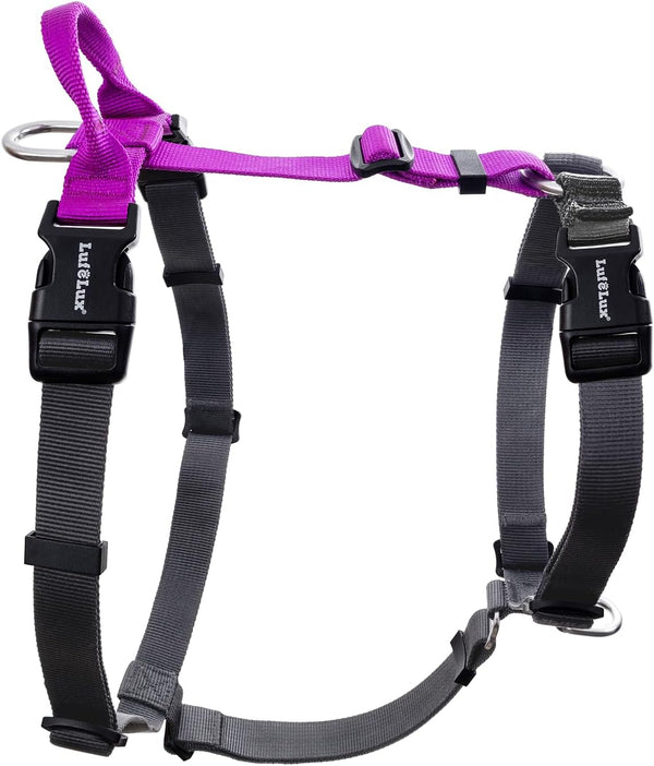 No Pull Dog Harness, Small, Purple/Black | Non Restrictive, Neck Buckle Design, Six Points Adjustment, Lightweight Easy Walk, Small Dogs Chest(17-23Inches)1