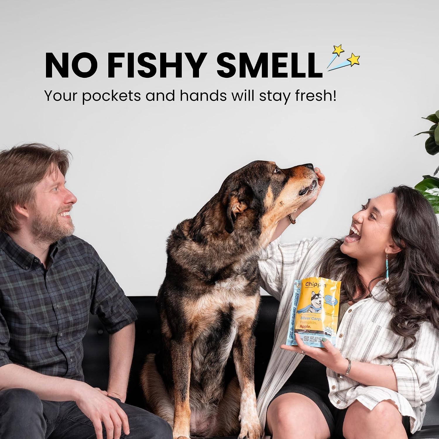 fish-dog-treats-for-skin-coat-healthy-soft-chews-with-real-pumpkin-grain-free-easy-to-digest-for-training-or-rewards-for-small-large-dogs-natural-ingredients-for-sensitive-stomach-made-in-usa