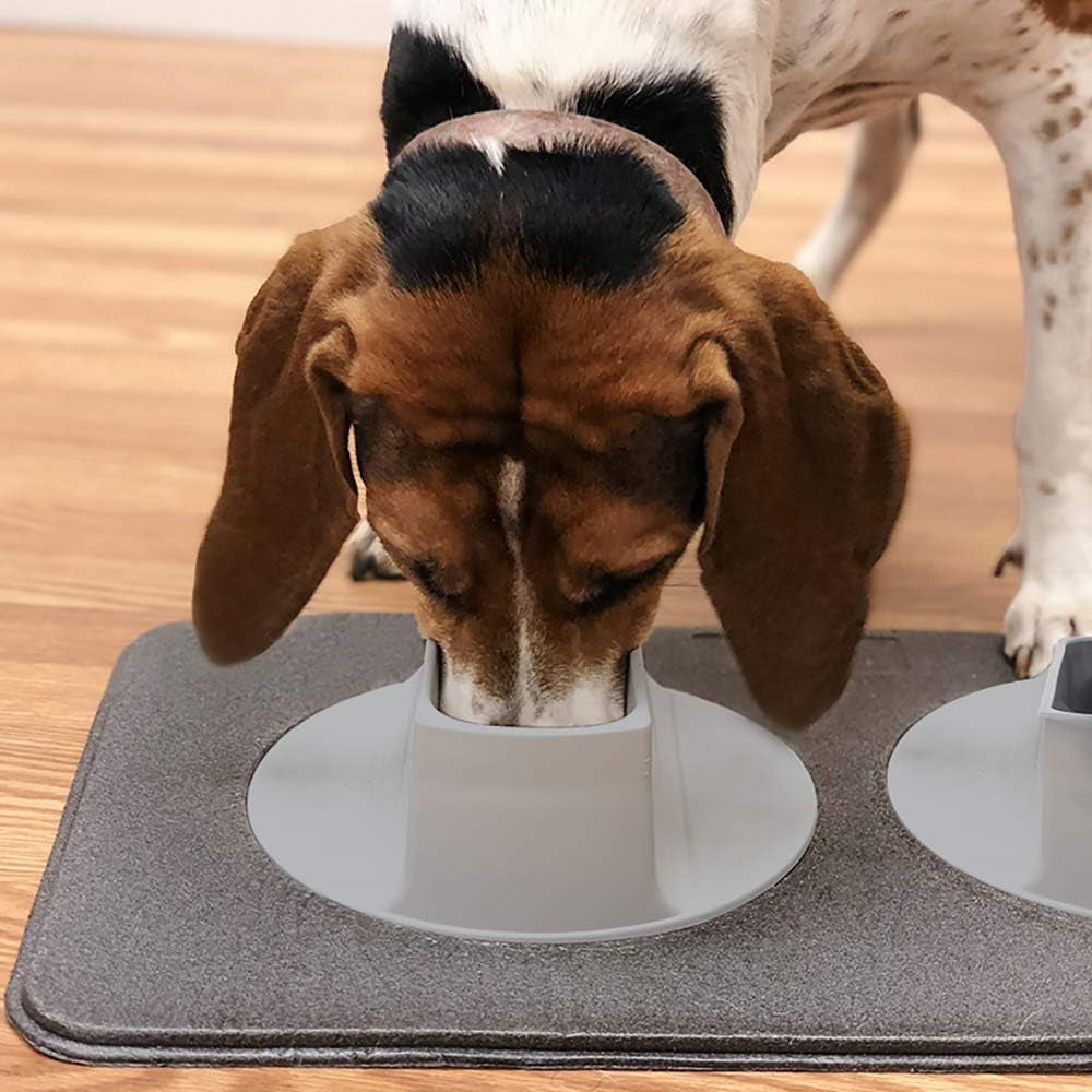 ear-clear-dog-bowl-and-mat-set-no-spill-food-and-water-bowls-with-mat-perfect-feeding-tray-set-for-long-eared-dog-or-breeds-no-mess-dog-bowl-36-oz-feeder-bowl-set-hounds-cocker-spaniels-setters