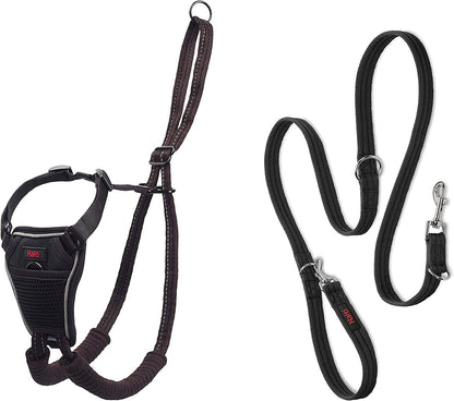 Halti No Pull Harness (Size Medium) & Training Leash (Size Large, Black) | Bundle | Stop Your Dog Pulling on the Leash | Adjustable, Lightweight and Easy to Use | Suitable for Medium Dogs1