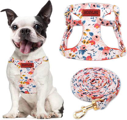 No Pull Dog Harness & Leash Set, Adjustable Xx-Small, Pink Daisy, Fashionable, Cute, Stylish, Escape Proof, Includes Leash11