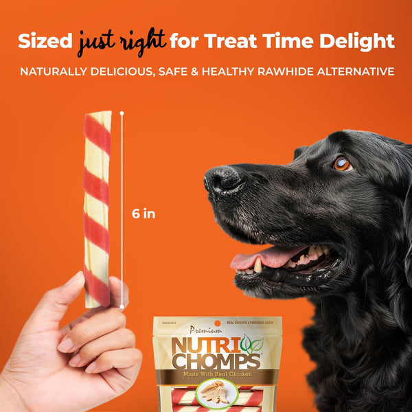 Nutrichomps Dog Chews, 6-Inch Twists, Easy to Digest, Long Lasting, Rawhide-Free Dog Treats, 15 Count, Real Chicken Flavor | a Rawhide-Free Chew That'S Gentle and Easy to Digest, Made with the Real, Wholesome Ingredients Dogs Love4