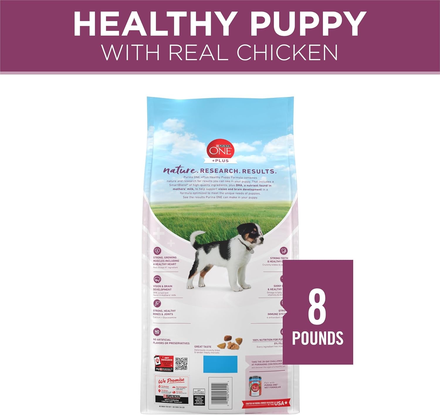 purina-one-plus-healthy-puppy-formula-high-protein-natural-dry-puppy-food-with-added-vitamins-minerals-and-nutrients-8-lb-bag