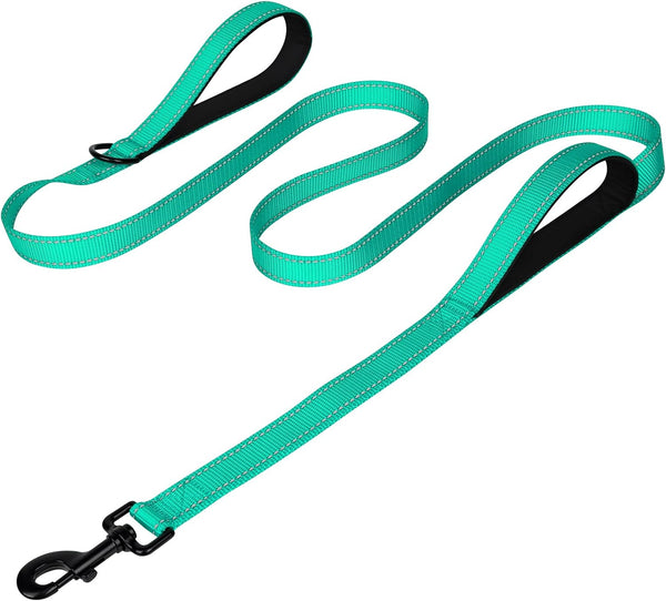 Joytale Reflective Dog Leash for Medium & Large Dogs, 6 FT X 1", Black | Heavy Duty Nylon Webbing, Padded Handle for Comfort, Visible at Night, for Walking & Training28