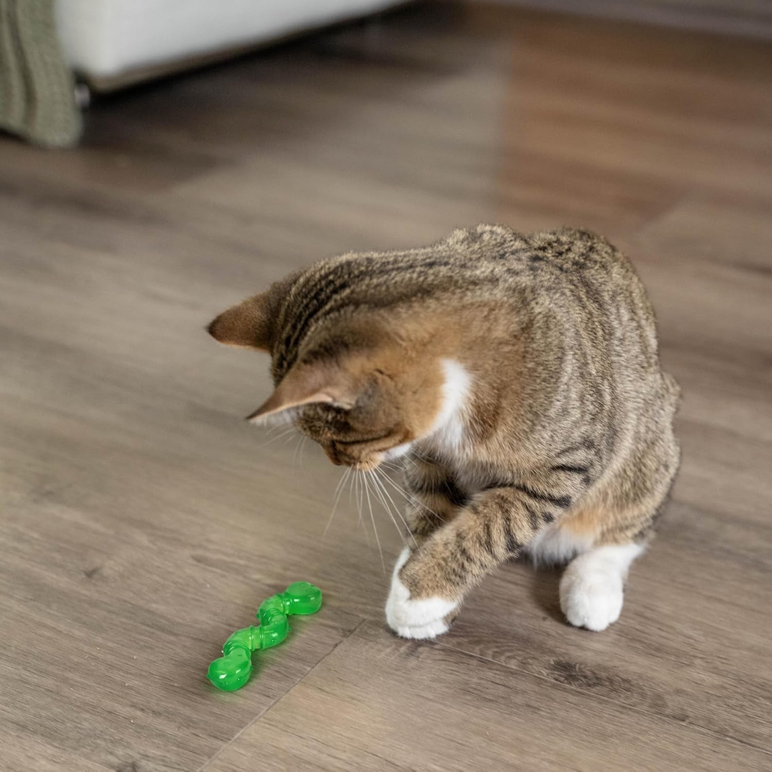 petstages-orkakat-wiggle-worm-dental-catnip-cat-chew-toy