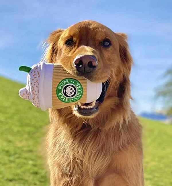 Nestpark Parody Star Pups Coffee Dog Toy Pup'Kin Spice Latte - Funny Plush Squeaky Crinkle Dog Toys for Medium, Small and Large for Dog Birthday3