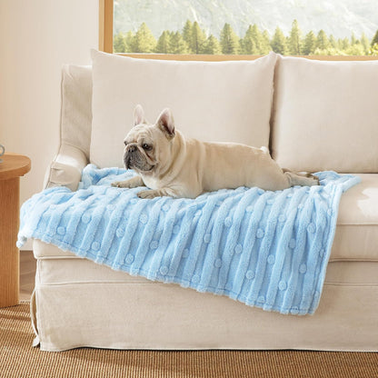 Bedsure Dog Blanket for Small Dogs Puppy Cats with Soft Fleece 25X35 White | 300GSM Fuzzy Jacquard Doggy Kitten Blanket Washable for Crate Cage, Pet Bed, Indoor Cats, Puppy Essentials, Cute Dog Gift16