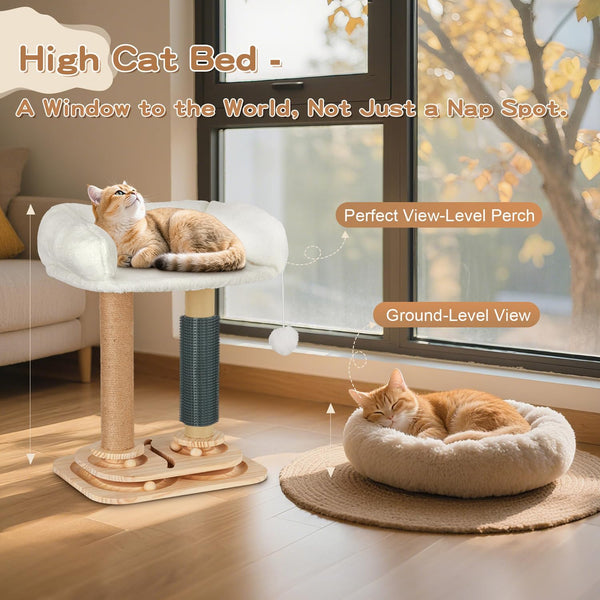 Cat Scratching Post with Bed, 4-In-1 Small Cat Tree Tower | Sisal Scratcher, Elevated Washable Bed, Track Ball Toy, Built-In Self-Groomer6