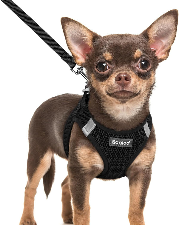 Eagloo Small Dog Harness and Leash Set, Step in Small Sized Puppy Pet Vest | Light, Soft, Breathable Air Mesh, Easy on and off with Hook & Loop, Reflective for Safe Walking, Pink, S19
