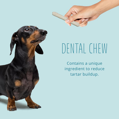 Better Belly Highly Digestible Rawhide Dental Chews, Treat Your Dog to a Chew with NO Artificial Colors or Flavors, 10 Count4