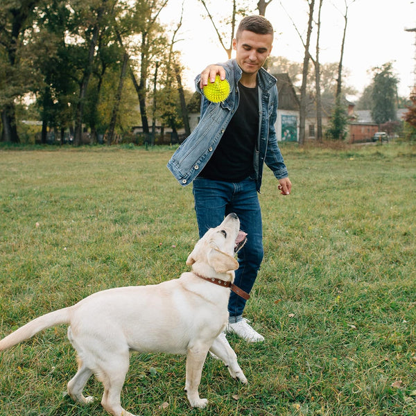 VITEVER 3.5” Squeaky Dog Toy Balls (6 Colors) Puppy Chew Toys for Teething, BPA Free Non-Toxic, Spikey Dog Balls for Medium, Large & Small Dogs, Durable Toys for Aggressive Chewers7