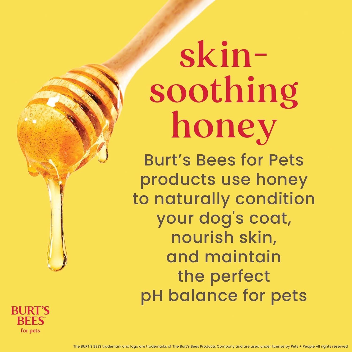 burts-bees-for-pets-oatmeal-dog-conditioner-fragrance-free-10-fl-oz-colloidal-oat-flour-and-honey-moisturize-and-soften-dry-coats-ph-balanced-95-natural-origin