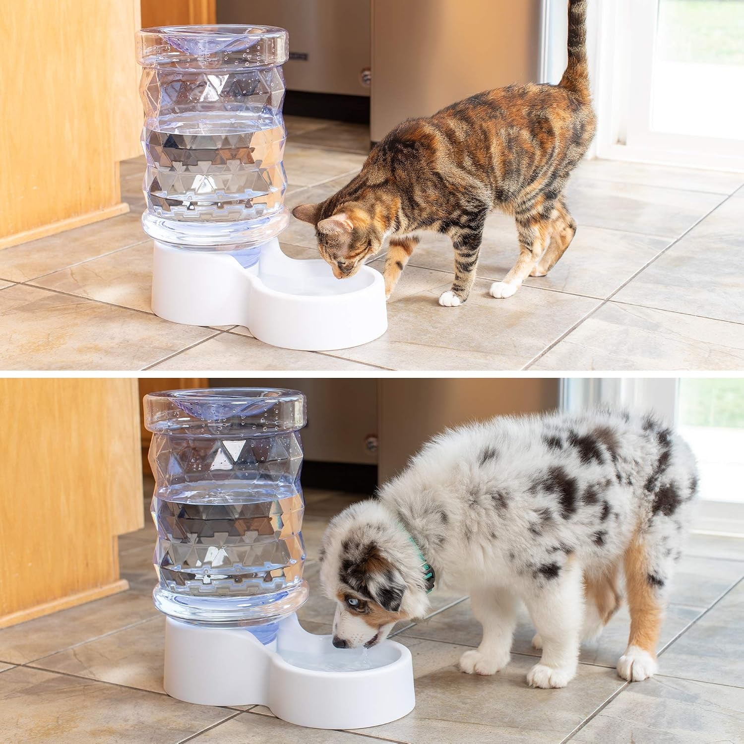 petfusion-h2o-gravity-pet-water-dispenser-durable-2-5-gallon-waterer-feeder-automatic-station-for-cats-small-medium-large-dogs-transparent