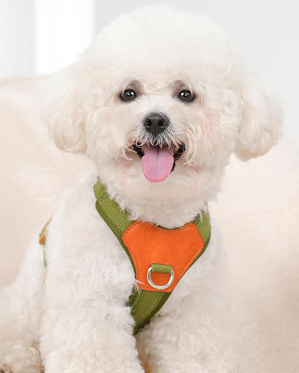 Green Xs Dog Harness for Small Dogs, No Pull Dog Harness with 2 Leash Clips, Puppy Harness, Dog Vest Harness(Green, XS)2