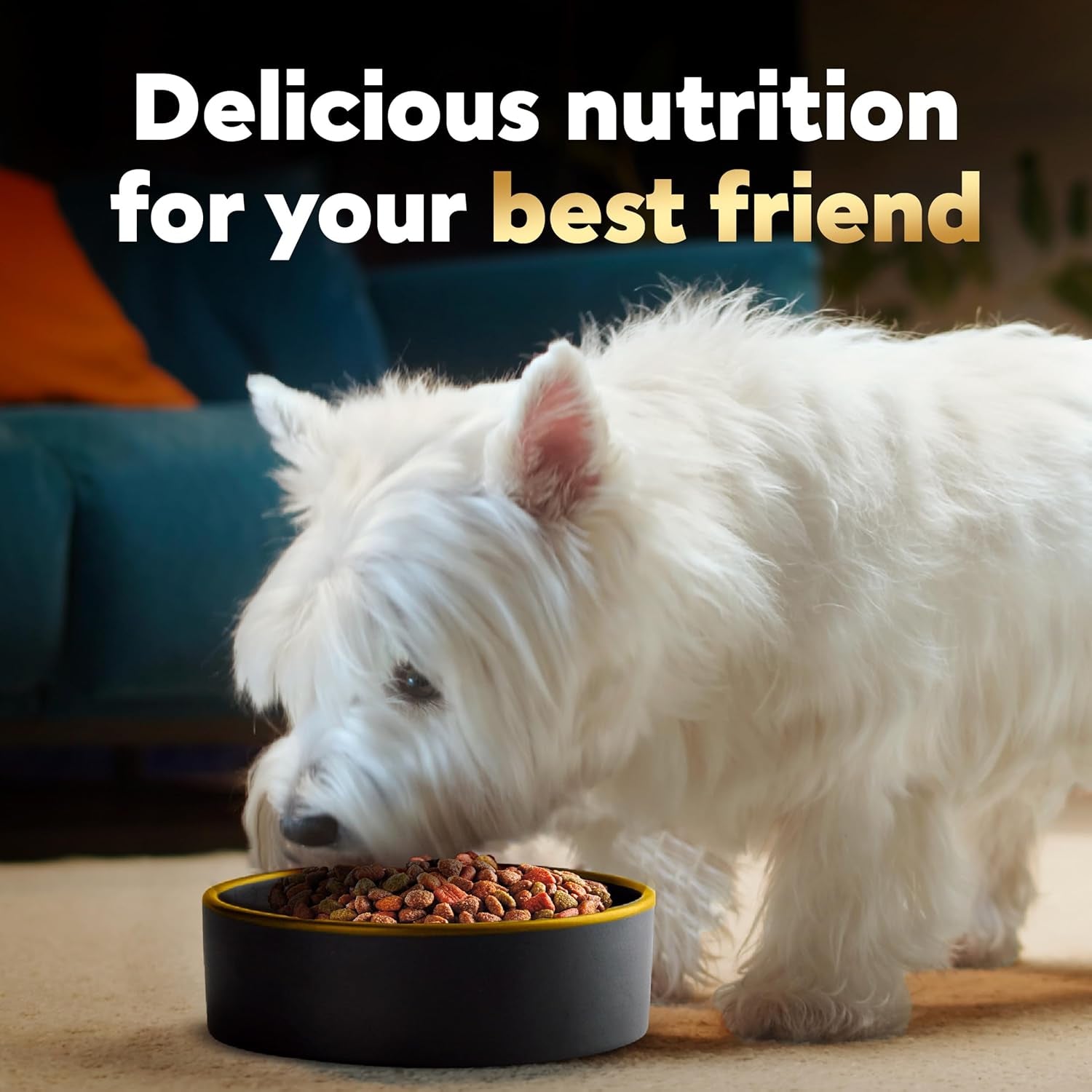 cesar-small-breed-dry-dog-food-filet-mignon-spring-vegetables-12-lb-made-in-usa-real-beef-1-ingredient-26-essential-nutrients-supports-small-breed-health-no-artificial-flavors
