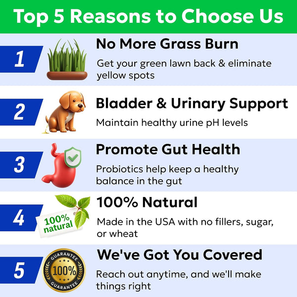 BARK&SPARK Green Grass Dog Chews – Dog Pee Grass & Urine Neutralizer Lawn | Grass Burn Spot Chews with Probiotics & Enzymes, Helps Reduce Lawn Burn from Dog Urine (120 Soft Chews)7