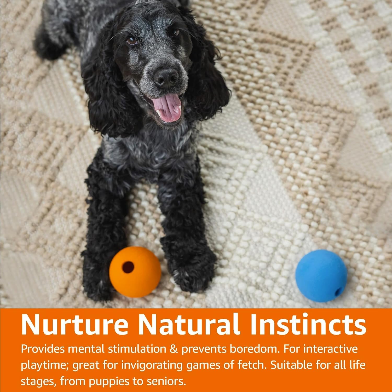 amazon-basics-interactive-bouncy-durable-rubber-dog-toy-balls-2-5-inch-multi-color-blue-orange-pack-of-10