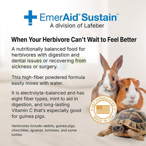 Sustain Herbivore (100 G, Apple & Banana) | Nutritionally Complete Recovery Food for Herbivorous Small Pets and Reptiles2