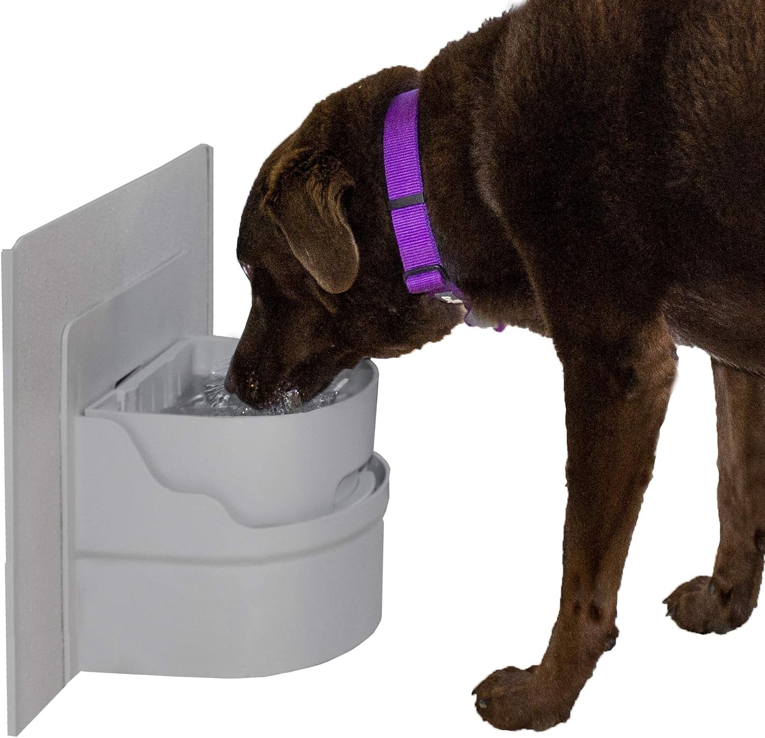 perpetual-well-automatic-pet-water-bowl-wall-mount