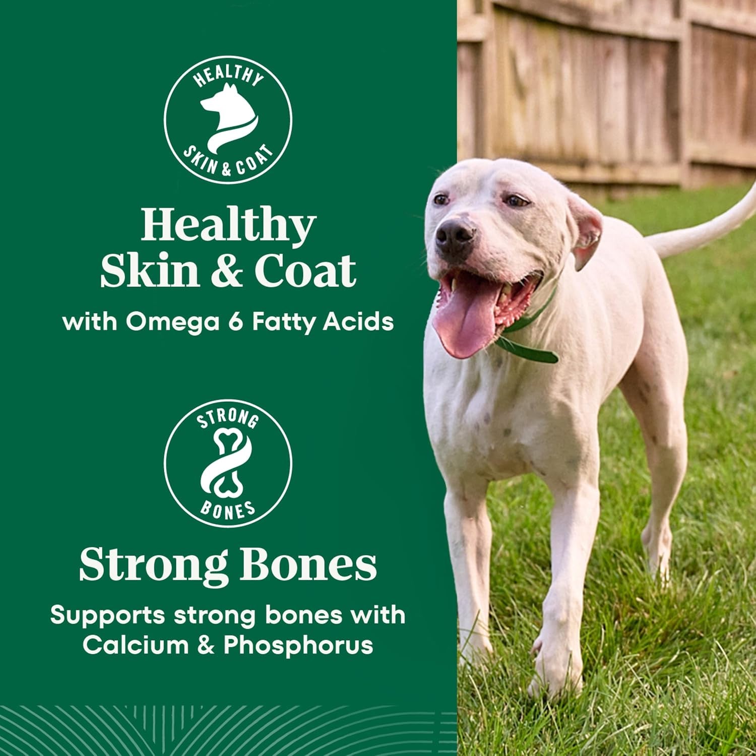 nutro-natural-choice-healthy-weight-dry-dog-food-chicken-rice-30-lb-non-gmo-chicken-1-ingredient-no-corn-wheat-soy-supports-weight-loss-skin-coat-digestive-immune-health
