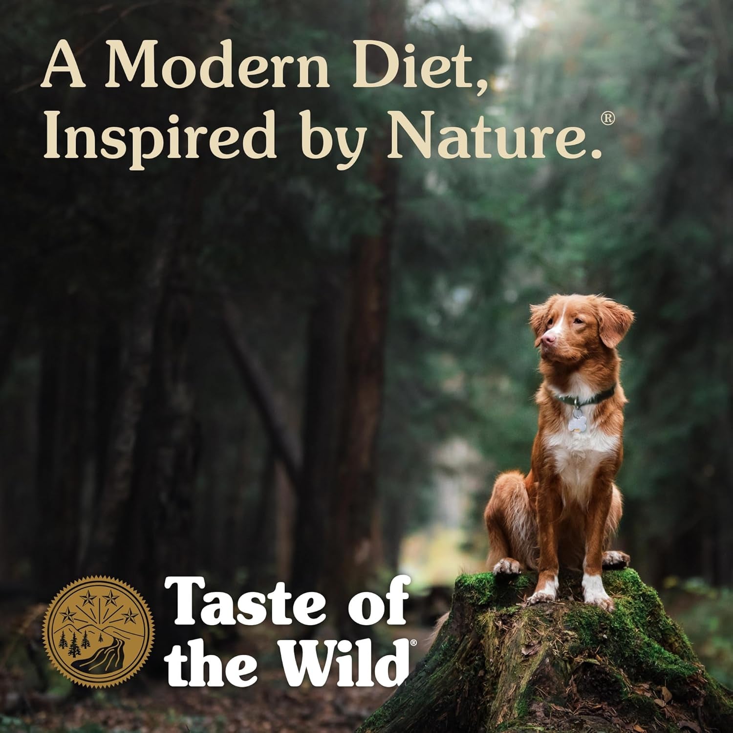 taste-of-the-wild-high-prairie-grain-free-dry-dog-food-with-roasted-bison-and-venison-for-puppies-28lb-puppy-adult-senior-dogs-grain-free-recipe-nutrient-dense-to-help-support-peak-health-guaranteed-dha-probiotics