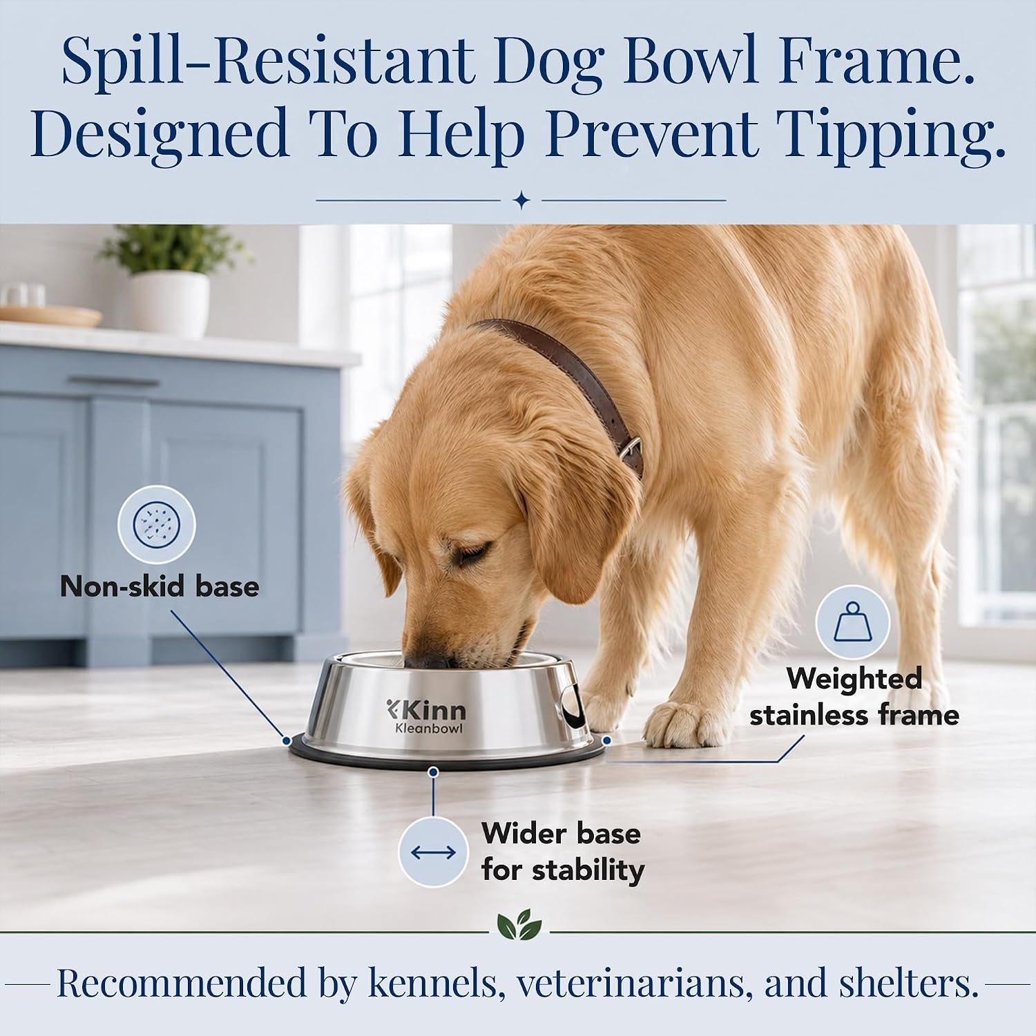 kinn-kleanbowl-pet-bowl-stainless-steel-frame-8-oz-pack-of-1-compostable-refills-spill-proof-stable-disposable-easy-cleaning-no-plastic