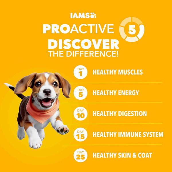 IAMS Proactive Health Puppy Dry Dog Food, Chicken & Whole Grain, 15 Lb | Real Chicken #1 Ingredient, Vet-Recommended, Omega-3 DHA for Cognitive & Vision Development, Calcium for Bones & Joints2