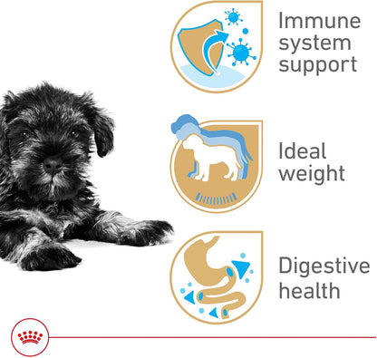 ROYAL CANIN Breed Health Nutrition Miniature Schnauzer Puppy Dry Dog Food, 2.5 Lb Bag3