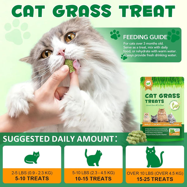 180G/6.4Oz Cat Grass Treats for Hairball Control, Natural Teeth Cleaning & Fresh Breath, Crunchy Catnip Flavored Biscuits with Barley Grass, Cat Training Rewards for All Breeds2