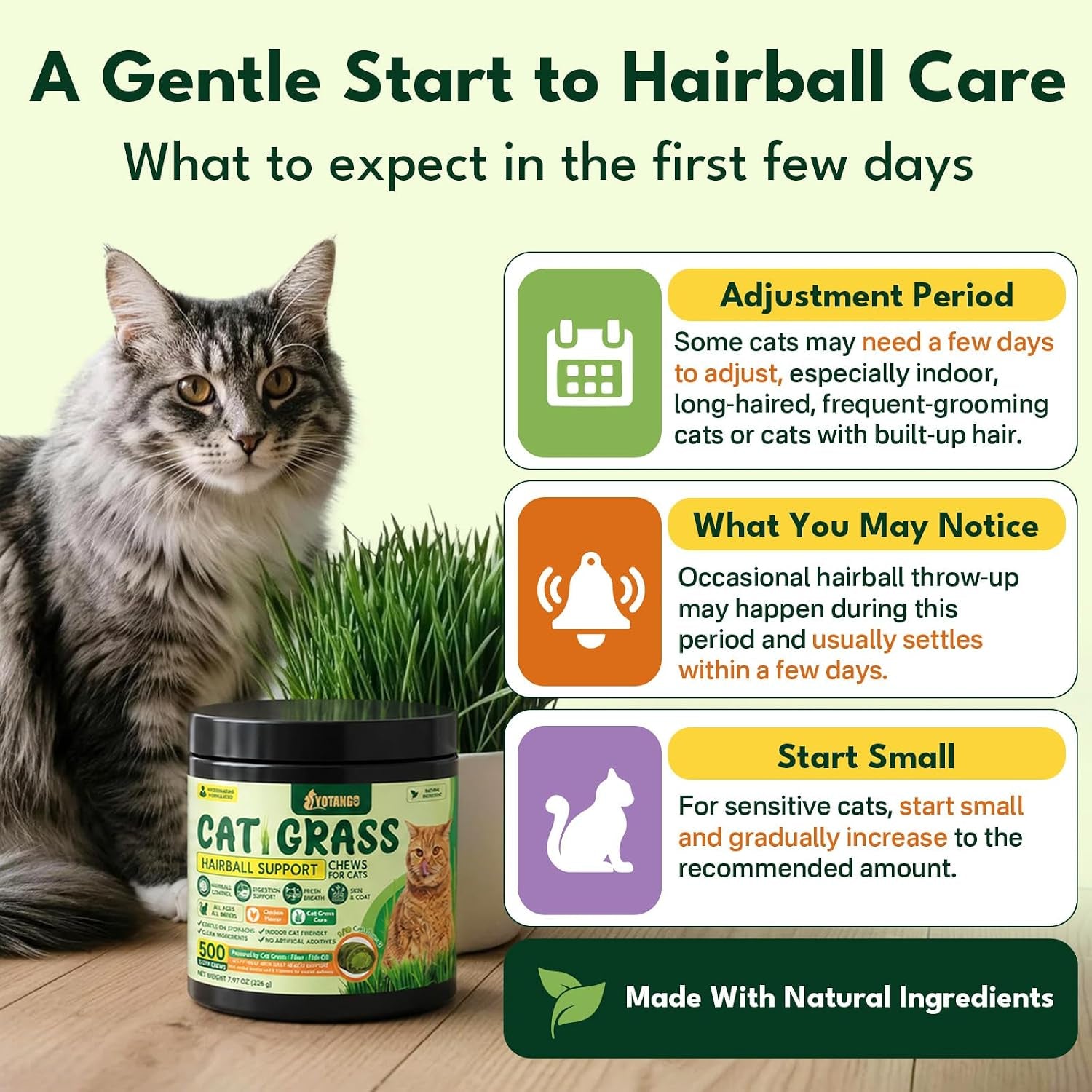 cat-grass-treats-chews-cat-treats-for-indoor-cats-500-hairball-treatment-for-cats-hairball-control-feline-grass-chews-with-fish-oil-taurine-b-vitamins-for-skin-coat-digestion-dental-care
