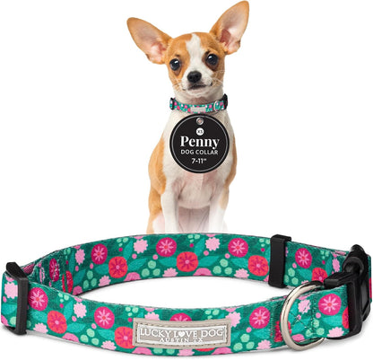 Lucky Love Dog - Easy Click Buckle Dog Collar with Leash Set Combo, Durable & Comfortable for Male & Female Dogs, Pet Collar for Medium Dogs, Secure Fit - Blackbird Combo, Medium57