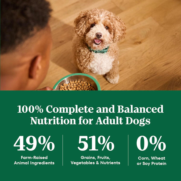 Nutro Natural Choice Small Breed Dry Dog Food, Chicken & Rice, 5 Lb | Non-Gmo, Real Chicken #1 Ingredient, No Corn, Wheat, Soy, Omega-3 & 6 for Soft Shiny Coat, Supports Energy, Bones & Muscles8