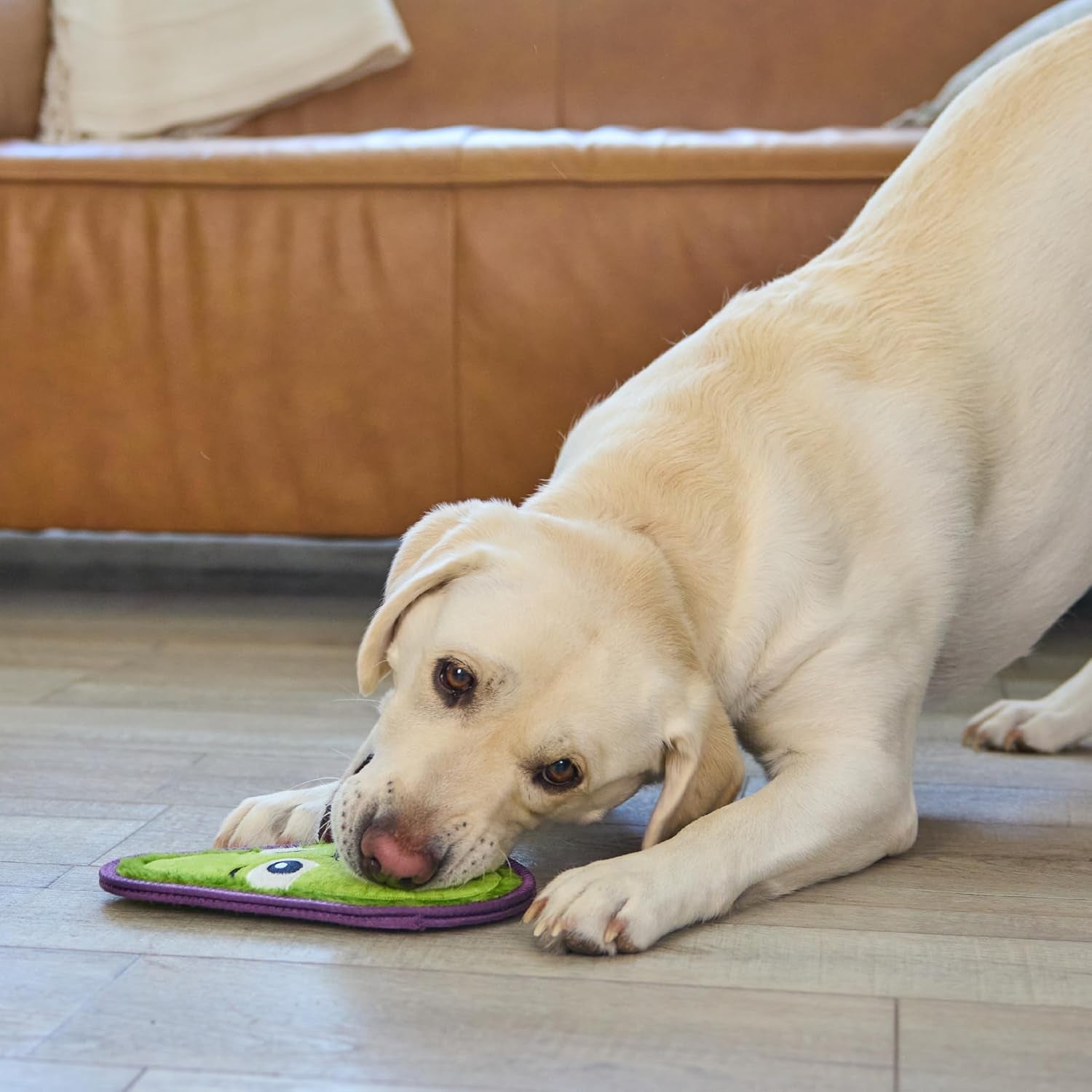outward-hound-tough-skinz-durable-squeaky-dog-toy-with-two-tough-layers-avocado-green-medium