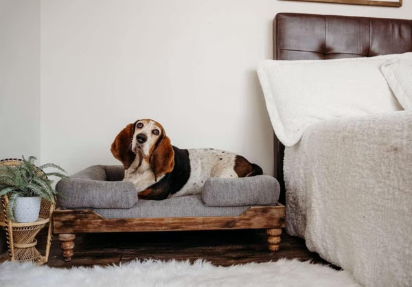 Large Washed Oak Dog Bed - Farm House Style - for Dogs 50 Lbs and under - Orthopedic Memory Foam - Carved Wooden Legs - Luxury Pet Sofa3