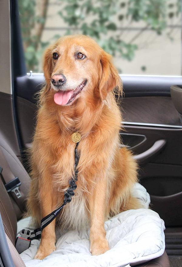 2 Pack Dog Seat Belt Adjustable Dog Car Seatbelts for Vehicle Nylon Pet Safety Seat Belt with Elastic Bungee Buffer Reflective & Durable Car Harness for Dogs6