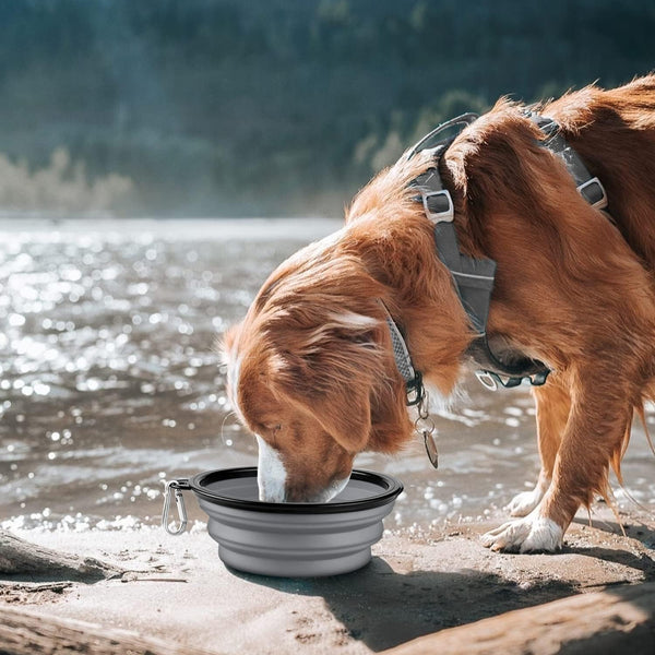 COOYOO Collapsible Dog Bowl,2 Pack Collapsible Dog Water Bowls for Cats Dogs,Portable Pet Feeding Watering Dish for Walking Parking Traveling with 2 Carabiners2