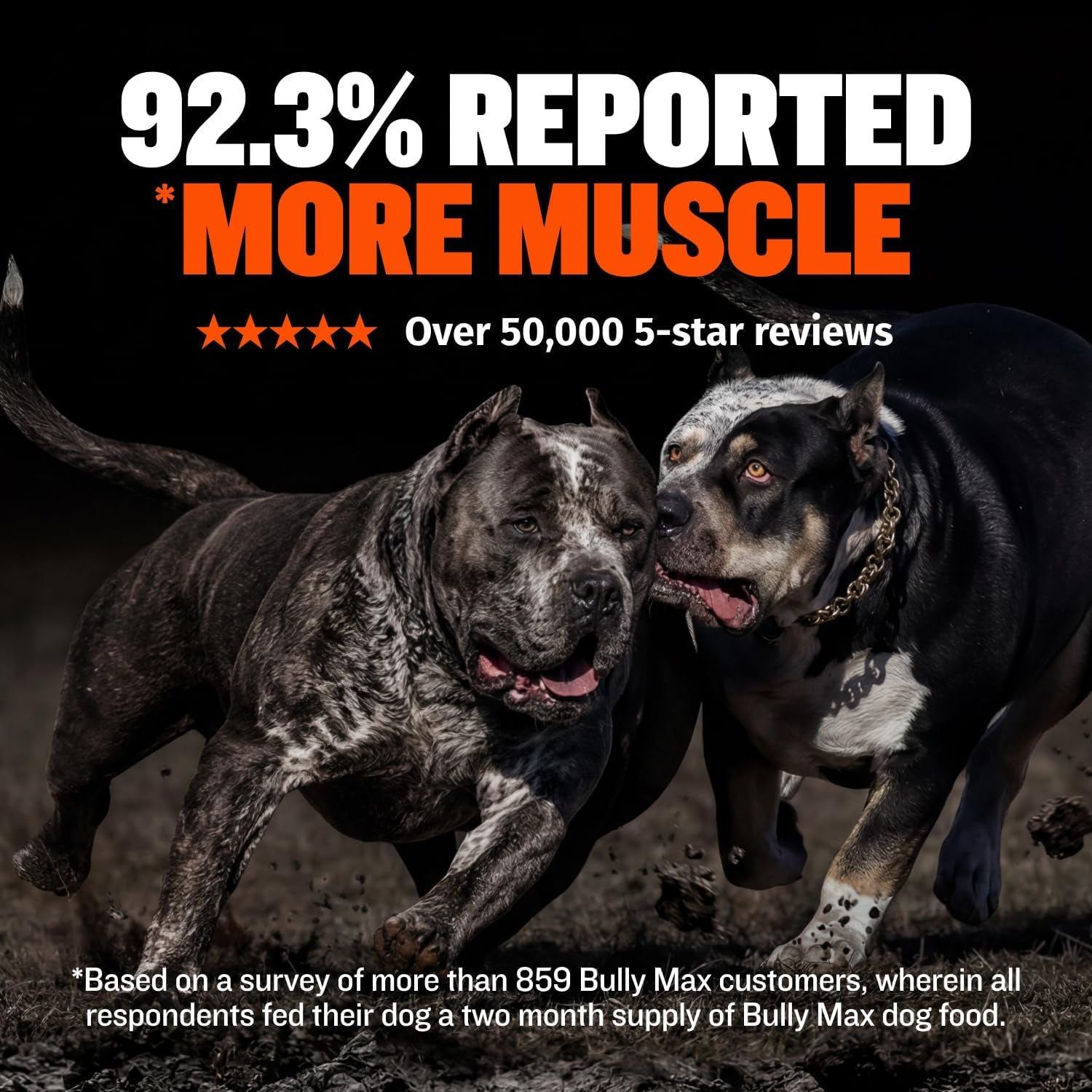 bully-max-dry-dog-food-for-adults-puppies-high-protein-fat-for-muscle-weight-gain-high-performance-dog-food-supplements-small-large-breed-dogs-535-calories-per-cup-chicken-15lb-bag