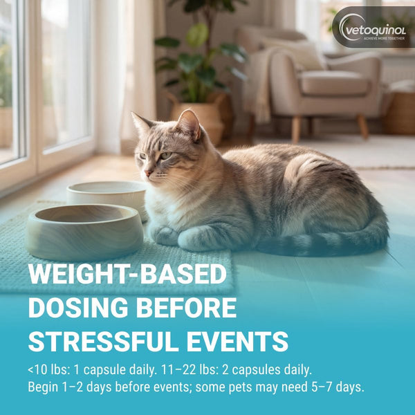 Vetoquinol Zylkene - Calming Oral Capsule for Small Cats & Dogs 11–22 Lb - for Behavior & Occasional Anxiety - Perfect for Boarding, Vet Visits & Celebrations - Non-Drowsy & Lactose-Free - 30 Capsules5