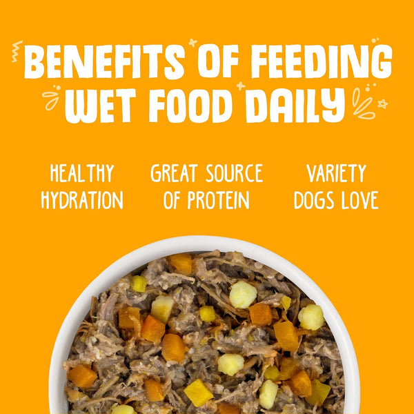 Weruva Classic Dog Food, Variety Pack, Baron'S Batch, Wet Dog Food, 14Oz Cans (Pack of 12)6