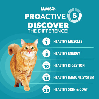 IAMS Proactive Health Indoor Dry Cat Food, Chicken & Turkey, 7 Lb | Vet-Recommended, Real Chicken #1 Ingredient, Proprietary Fiber Blend, Prebiotics for Healthy Digestion, Hairball Control5