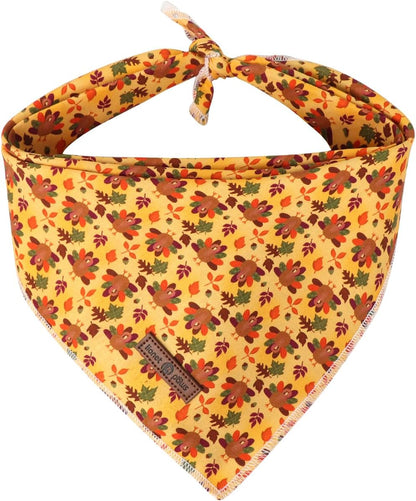 Lionet Paws Dog Bandana for Small Medium Large Dogs, Cat Kerchief Blue DOIT, Triangle Bibs Scarf for Girl or Boy18