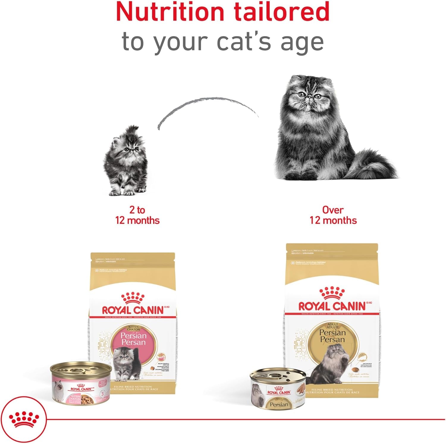 royal-canin-feline-breed-nutrition-persian-adult-dry-cat-food-7-lb-bag-tailored-nutrition-for-persian-cats-specialized-kibble-shape-supports-healthy-coat-ideal-for-adult-cats