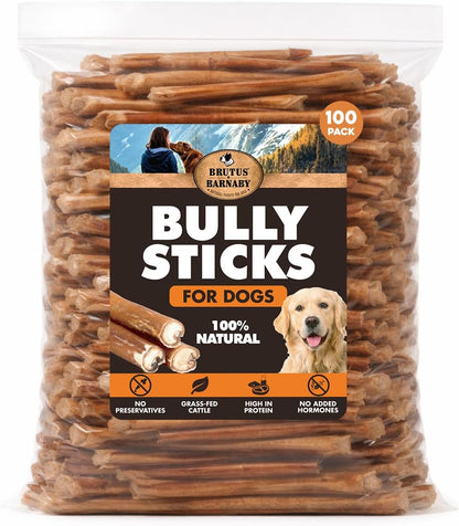 BRUTUS & BARNABY Bully Sticks for Small, Medium & Large Dogs, 6 Inch, 12 Ct | Long Lasting Thick Grass Fed Beef Pizzle Chew Treats, Odor Free and Rawhide Free, Great for Aggressive Chewers10