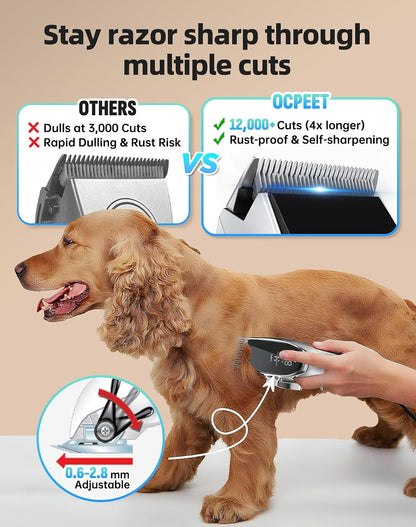 Dog Grooming Kit Low Noise，Cordless 4 in 1 Dog Clippers for Grooming Rechargeable Pet Cat Hair Trimmer with 2 Speed,6 Guards,Scissors,Comb for Small Medium Large Pets Dogs Cats Thick Hair Cutting2